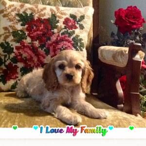 Meet your Posher, Betty